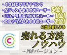 ココナラ100万プレイヤーがココナラの売り方教ます おすすめユーザー5位達成⭐️PDFバージョンです✨✨✨✨✨ イメージ1