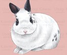 ペットさんの似顔絵をお描きします 大切なペットさんのお写真をもとに似顔絵をお描きいたします。 イメージ3