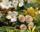 お花のオンラインレッスンなどいたします お花屋さんのレッスン。ぜひご自宅でお花を飾ってみませんか？ イメージ1