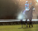 競馬予想・開催別買える馬教えます 厩舎・馬場・産駒・前走着順などから好走する馬を探します イメージ1
