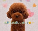 気軽にお話し伺います 些細な事でも、話してスッキリ‼️何でも聞きます☺️✨ イメージ1