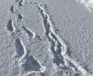 仕事や私生活で溜まった愚痴や話し相手になります あなたの溜まっている愚痴聞きます。 イメージ1