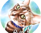 ふんわり可愛い♪水彩画風うちの子アイコン描きます オーダーメイドの愛猫イラスト♡癒し／ペット／似顔絵／SNS イメージ5