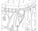 ご希望のタッチに寄せて漫画・イラスト描きます ご希望がございましたらこんな感じで～とお問い合わせください イメージ10