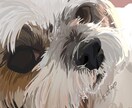 パソコンやスマホの壁紙などに！愛犬イラスト描きます コントラストがある、太陽を浴びたような明るい絵が特徴的です。 イメージ3