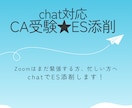 現役CA／chat対応！魅力が伝わるES添削します 何度も受験して悩んだからこそ、あなたの想いに寄り添います！ イメージ1