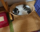 どんなお話でもお聞きします 些細なことから他の人には話せない事までなんでもお聞きします♪ イメージ3
