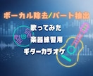 歌ってみた・練習用：ボーカル除去やパート抽出します 楽器(ギターなど)カラオケや耳コピ用をしたい方に最適 イメージ1
