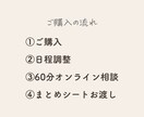 SNS発信とビジネス導線を整理します 起業女性の発信と導線を一緒に脳内整理します イメージ6