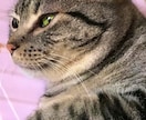 あなたのお話し聞きます 愚痴から、秘密の話しまで何でもお話し聞きます！！ イメージ7