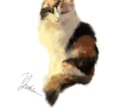 愛するペットや動物の本格イラスト描きます 愛するペットや動物の本格イラストを描きます◆ポーズ指定OK！ イメージ2