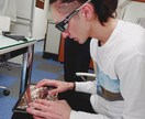 ゲームしても目を悪くしない方法を伝えます 今すぐできる簡単ケア！子供の視力を心配する保護者様必見です イメージ2