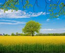 心をゆるめる☘チルタイム ✨なんでも聞きます 気取らずに、ほっとひと息。 あなたのままの言葉で大丈夫です☘ イメージ4