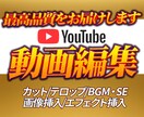 YouTube動画編集/サムネイル作成を致します イメージに合わせて編集致します！ イメージ1