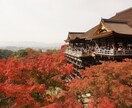 終わった旅、これからの旅の話聞きます 旅行経験豊富!旅の話で盛り上がりましょう! イメージ1