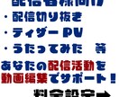 歌ってみた動画・オリジナル曲のMVを制作いたします 歌い手さん、Vtuberさん向け！ イメージ4