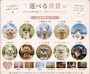 フォトリアル『うちの子』SNSアイコンお作りします 写真3枚からLINE・Instagram・X用アイコン作成 イメージ2