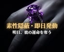 ドス黒い情念を至高の美へ錬成し絶対的な魔女にします 絶望の連鎖を完全に破壊し、美しき絶対覇王へと覚醒せよ。 イメージ3