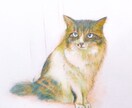 猫ちゃんのエネルギーを読み取り似顔絵を描きます ペットの猫ちゃんの愛の波動を写真から読み取りイラストにします イメージ2