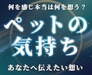 大切な家族（ペット）の本当の気持ち、お伝えします 今の環境でどうしてほしいか、温かい絆を深めるヒントを渡します イメージ1