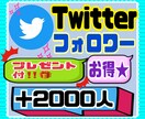 Twitterフォロワー＋2000人まで宣伝します 保証30日付★お得！！全世界に宣伝！！ イメージ1