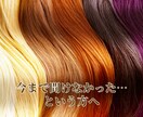男女OK✌️プロの美容師が髪のお悩みにお答えします クセ毛、薄毛、抜け毛、ヘアケア、ダメージ、乾燥、白髪など✂️ イメージ4