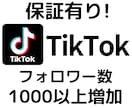 TikTokのフォロワー数を増やします ＋1000増加、アカウントの価値やイメージ向上に イメージ1
