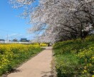 日々のイライ、お疲れ様発散のご協力します 保育士にお話してスッキリしませんか? イメージ2