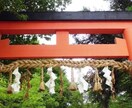 30分コース【人気No.1】本格霊視鑑定します 恋愛に特化した深い鑑定です。じっくり視てアドバイス致します。 イメージ1