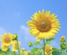 秘密厳守☆一日中トークルームで話し相手致します 寂しくて誰かとメールがしたい方や暇な方お話しませんか？ イメージ2