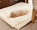 20代女性が少しでも心の不安感を取り除きます 知り合いに相談しにくいこと相談してみませんか？ イメージ1