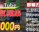 即戦力！YouTube人気編集方法からえらべます 【３０００円】単調作業がめんどくさい　外注化したい人オススメ イメージ1