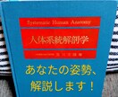 ダイエットは【姿勢】で一段階変わります 認定理学療法士が【身体の不均衡】を医療知識で解消します！ イメージ7