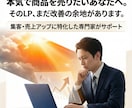 成約率UP！売れることに特化したLPを制作します ５万円で完結。魅力を120％伝える集客デザイン イメージ4