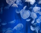自身の発達障害の人生を活かして相談乗ります あなたの心に真摯に向き合います。 イメージ2
