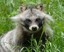 前向きになる相談やってます とにかく前向きに、笑顔がないと福はきません イメージ1