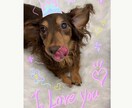 写真にペイントします シンプルかつオシャレ！ご希望に合わせてペイントします！ イメージ2