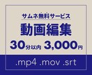 30分以内の動画編集をまるっといたします サムネ付き！丁寧な編集を低価格でご提供！ イメージ1