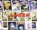 飼ってる猫ちゃんの気持ち占います 愛猫の気持ち知りたくありませんか？ イメージ2