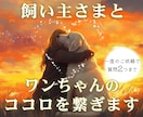 愛犬と飼い主様の心を繋ぎたい。ワンコと話します タロット・ダウジング・アニコミの３本柱で愛犬の気持ちを深堀り イメージ1