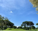 サンプルボイスあり☀️仕事のお悩みを優しく聴きます ⭕人間関係⭕転職⭕生きがい⭕モチベーション⭕いじめ・嫌がらせ イメージ16
