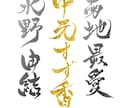 筆文字で代筆いたします 【お急ぎ、カラー、字体変更可】 イメージ2