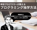 現役プログラマーがプログラミング独学方法教えます 未経験でもアレをやるだけでエンジニア内定獲得できる方法を解説 イメージ1