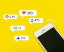 格安でインスタいいね【1ヶ月】運用代行します ⚠10枠限定価格⚠いいね・フォロー・フォロー解除 イメージ3
