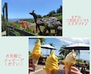 丸投げOK！失敗しない旅行プラン作ります 効率よく回れる最適ルートを提案します イメージ3