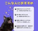 初心者でも始められるココナラ占い攻略教えます 経験、知識、実績ゼロでも「選ばれる占い師」になれる教科書 イメージ5