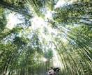 なんでも聞きます 愚痴、悩み、相談、世間話、なんでもいいですよ イメージ2