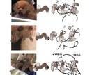 あなたのペットをミニキャラにします いただいたペットちゃんの写真を基に、ミニキャラを描きます！ イメージ4