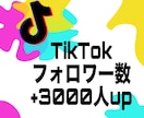 TikTokフォロワーを＋3000人増やします TikTokをユーザーへ拡散！+3000人増加します。 イメージ1