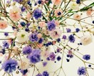 ぬり絵ワークでカラーセラピー受けられます 心理テスト感覚で楽しく気軽に自分と向き合いましょう♪ イメージ1